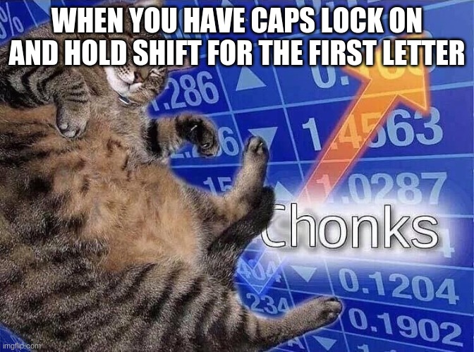 Chonks | WHEN YOU HAVE CAPS LOCK ON AND HOLD SHIFT FOR THE FIRST LETTER | image tagged in chonks | made w/ Imgflip meme maker