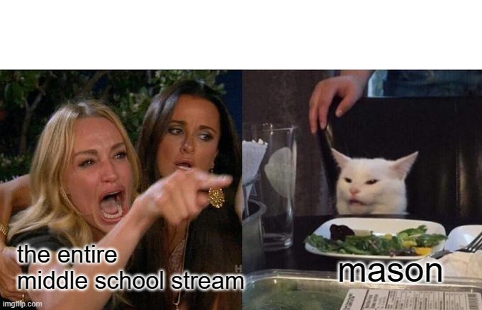 #protectmason | the entire middle school stream; mason | image tagged in memes,woman yelling at cat,mason | made w/ Imgflip meme maker