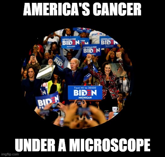 Democrats are a Disease! | AMERICA'S CANCER; UNDER A MICROSCOPE | image tagged in funny,funny memes,memes,truth | made w/ Imgflip meme maker