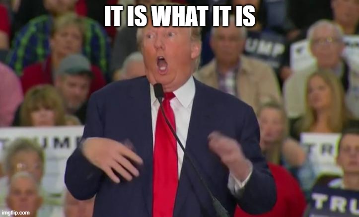 Donald Trump Mocking Disabled | IT IS WHAT IT IS | image tagged in donald trump mocking disabled | made w/ Imgflip meme maker
