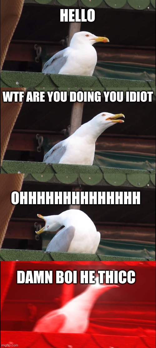 DAMN BOI | HELLO; WTF ARE YOU DOING YOU IDIOT; OHHHHHHHHHHHHHH; DAMN BOI HE THICC | image tagged in memes,inhaling seagull | made w/ Imgflip meme maker