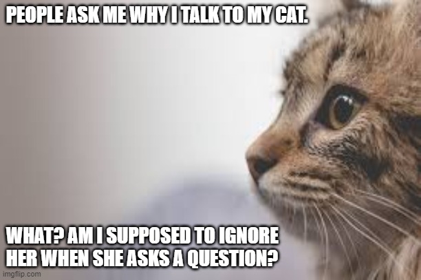 Talking to my cat | PEOPLE ASK ME WHY I TALK TO MY CAT. WHAT? AM I SUPPOSED TO IGNORE HER WHEN SHE ASKS A QUESTION? | image tagged in cat lady,cat memes,i love cats | made w/ Imgflip meme maker