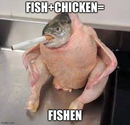 fishen | FISH+CHICKEN=; FISHEN | image tagged in fish | made w/ Imgflip meme maker