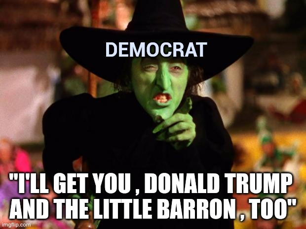 wicked witch  | DEMOCRAT "I'LL GET YOU , DONALD TRUMP 
AND THE LITTLE BARRON , TOO" | image tagged in wicked witch | made w/ Imgflip meme maker