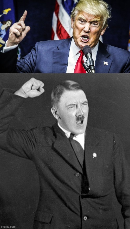 image tagged in angry hitler,trump angry | made w/ Imgflip meme maker