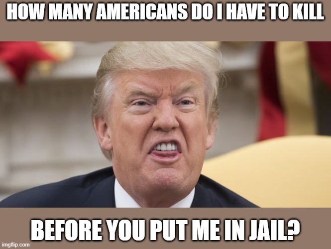 200,000 dead Americans - That is mass murder- Lock him up | HOW MANY AMERICANS DO I HAVE TO KILL; BEFORE YOU PUT ME IN JAIL? | image tagged in memes,murder,maga,impeach trump,killer,mental health | made w/ Imgflip meme maker