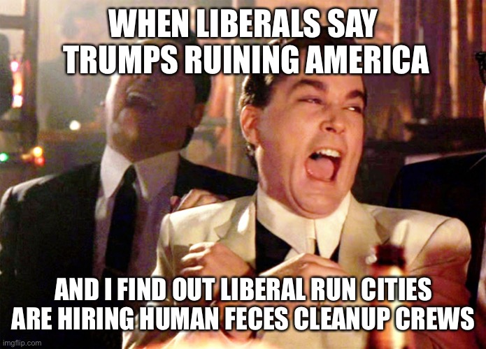 The truth hurts | WHEN LIBERALS SAY  TRUMPS RUINING AMERICA; AND I FIND OUT LIBERAL RUN CITIES ARE HIRING HUMAN FECES CLEANUP CREWS | image tagged in memes,good fellas hilarious | made w/ Imgflip meme maker