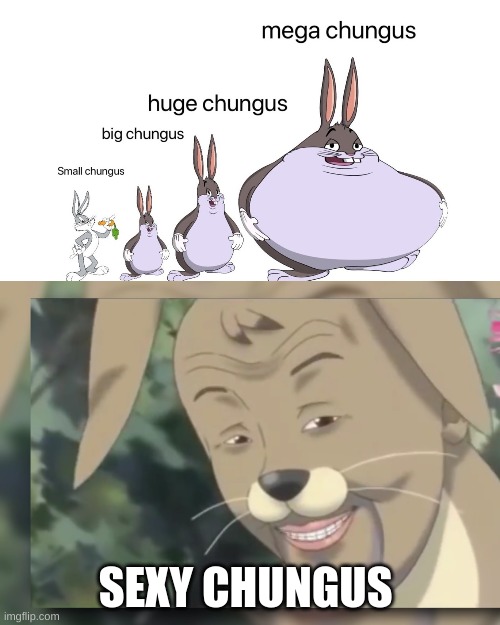 lets revive the chungus meme | SEXY CHUNGUS | image tagged in meme | made w/ Imgflip meme maker