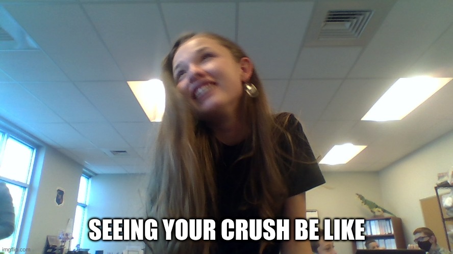SEEING YOUR CRUSH BE LIKE | image tagged in seeing your crush | made w/ Imgflip meme maker