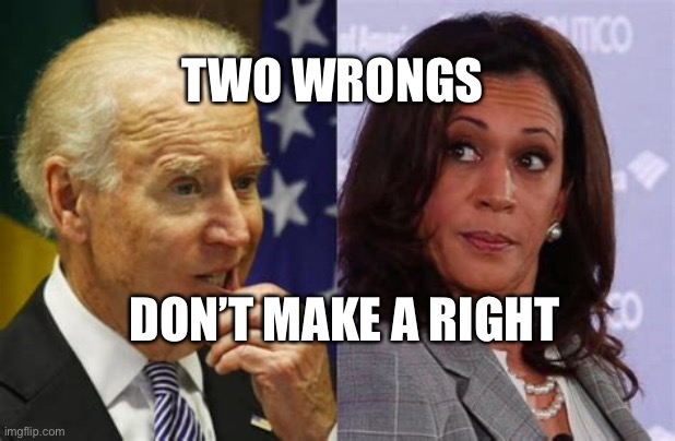 Two Wrongs don’t make a right! | TWO WRONGS; DON’T MAKE A RIGHT | image tagged in biden,kamala harris,losers | made w/ Imgflip meme maker