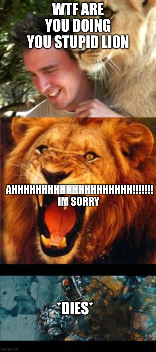 WTF ARE YOU DOING YOU STUPID LION; AHHHHHHHHHHHHHHHHHHHH!!!!!!! IM SORRY; *DIES* | image tagged in transformers,lion,human | made w/ Imgflip meme maker