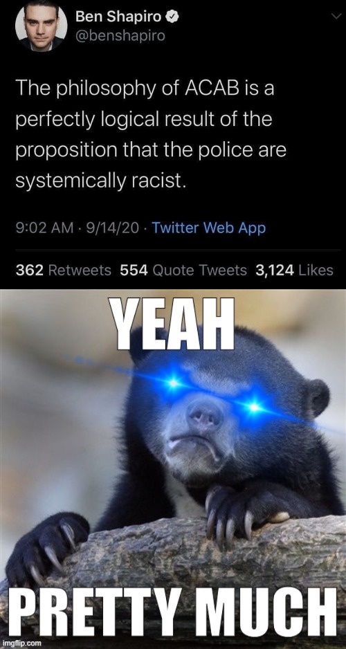 The benny is starting to understand | image tagged in yeah pretty much confession bear,ben shapiro,yeah,cops,police,police brutality | made w/ Imgflip meme maker