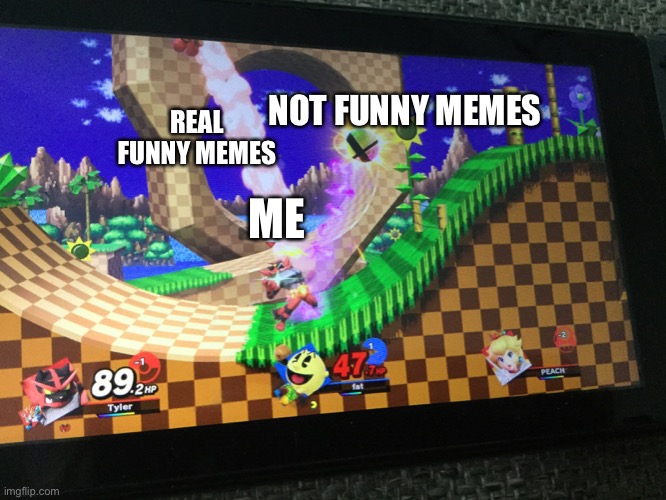 comment if u relate | REAL FUNNY MEMES; NOT FUNNY MEMES; ME | image tagged in super smash bros,funny memes | made w/ Imgflip meme maker
