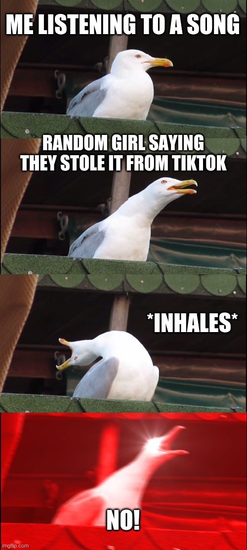 Dumb tiktok girls | ME LISTENING TO A SONG; RANDOM GIRL SAYING THEY STOLE IT FROM TIKTOK; *INHALES*; NO! | image tagged in memes,inhaling seagull | made w/ Imgflip meme maker