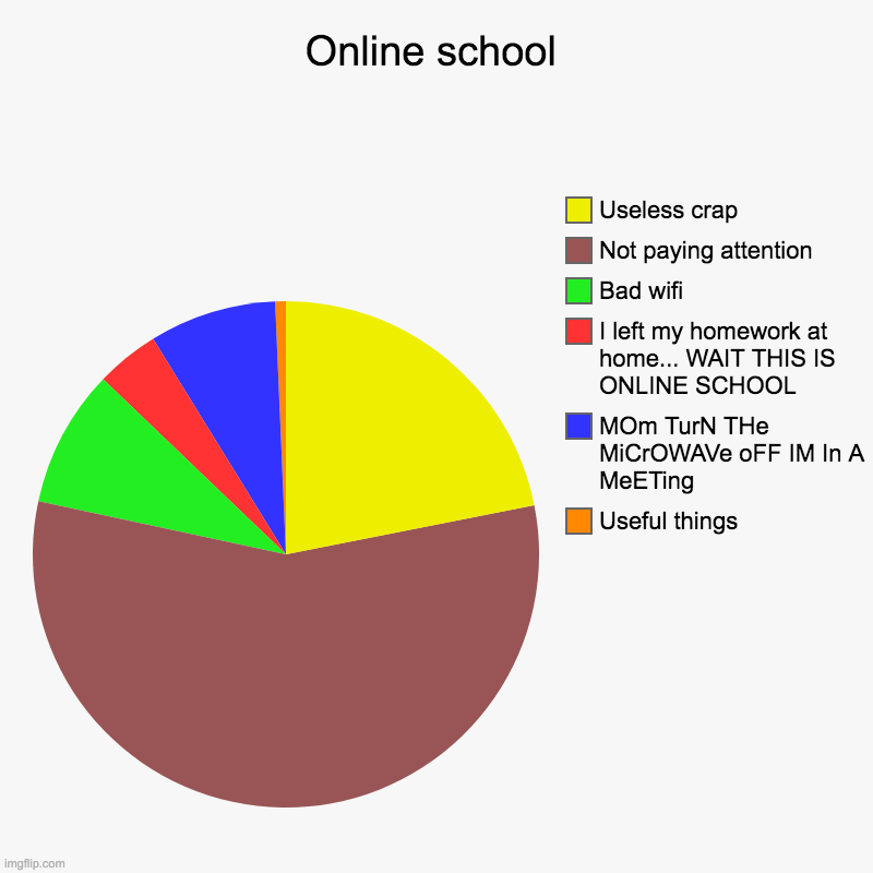 Online school | Useful things, MOm TurN THe MiCrOWAVe oFF IM In A MeETing, I left my homework at home... WAIT THIS IS ONLINE SCHOOL, Bad wif | image tagged in charts,pie charts | made w/ Imgflip chart maker