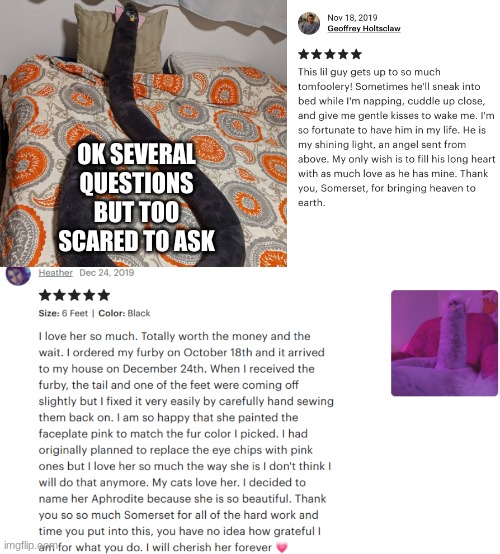 what the fuck is wrong with society | OK SEVERAL QUESTIONS BUT TOO SCARED TO ASK | image tagged in furby,extended | made w/ Imgflip meme maker