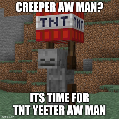 Tnt yeeter | CREEPER AW MAN? ITS TIME FOR TNT YEETER AW MAN | image tagged in tnt yeeter | made w/ Imgflip meme maker
