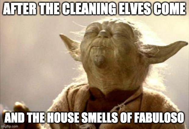 The smell of Fabuloso | AFTER THE CLEANING ELVES COME; AND THE HOUSE SMELLS OF FABULOSO | image tagged in yoda smell,fabuloso,smell,cleaning,house cleaning,cleaner | made w/ Imgflip meme maker