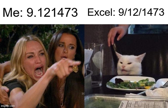 Excel memes | Me: 9.121473; Excel: 9/12/1473 | image tagged in memes,woman yelling at cat | made w/ Imgflip meme maker
