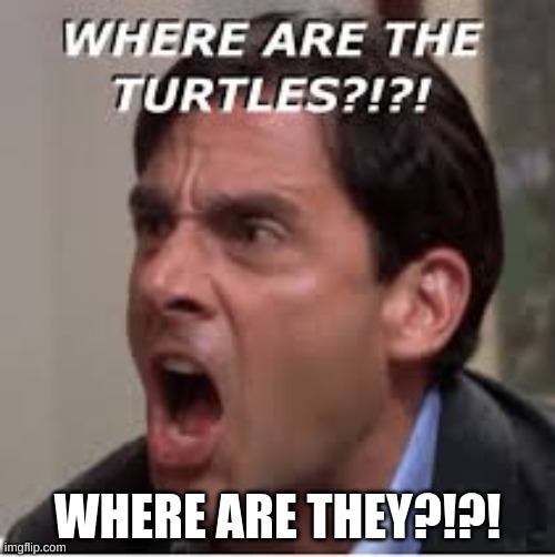 WHERE ARE THEY?!?! | image tagged in ha | made w/ Imgflip meme maker