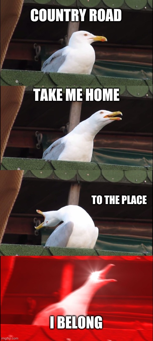 Only country people will understand | COUNTRY ROAD; TAKE ME HOME; TO THE PLACE; I BELONG | image tagged in memes,inhaling seagull | made w/ Imgflip meme maker