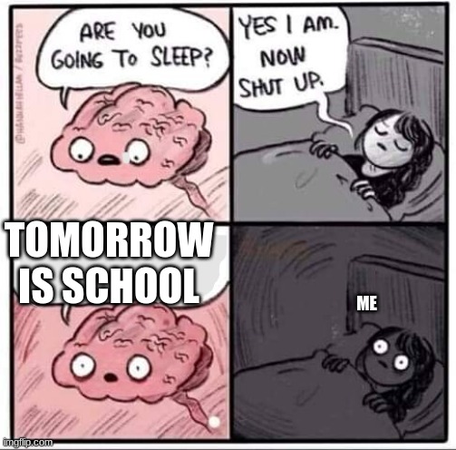 Are you going to sleep? | TOMORROW IS SCHOOL; ME | image tagged in are you going to sleep | made w/ Imgflip meme maker