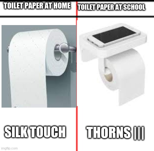 some minecraft meme i made | TOILET PAPER AT SCHOOL; TOILET PAPER AT HOME; SILK TOUCH; THORNS ||| | image tagged in toilet paper | made w/ Imgflip meme maker