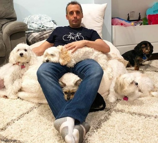 Joe loves his dogs! | image tagged in memes,joe gatto,impractical jokers,dogs | made w/ Imgflip meme maker