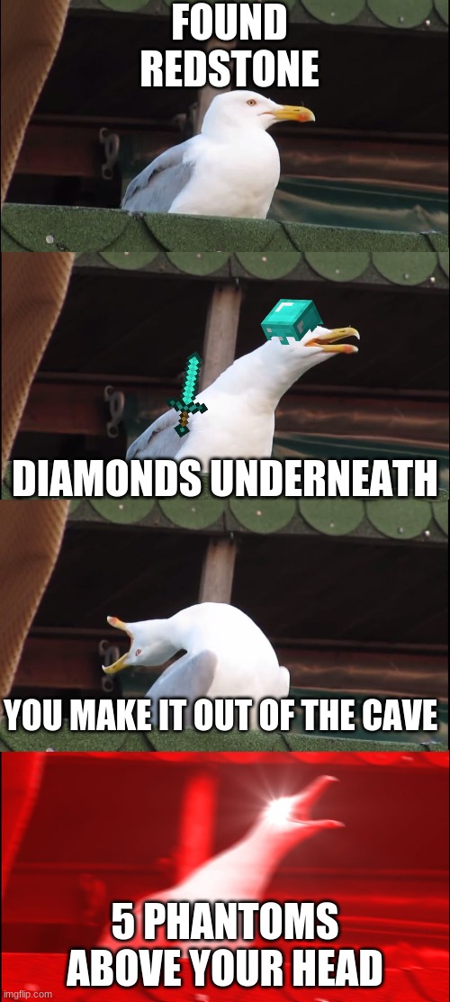 Screaming Seagull | FOUND REDSTONE; DIAMONDS UNDERNEATH; YOU MAKE IT OUT OF THE CAVE; 5 PHANTOMS ABOVE YOUR HEAD | image tagged in screaming seagull | made w/ Imgflip meme maker