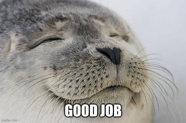 Satisfied Seal Meme | GOOD JOB | image tagged in memes,satisfied seal | made w/ Imgflip meme maker