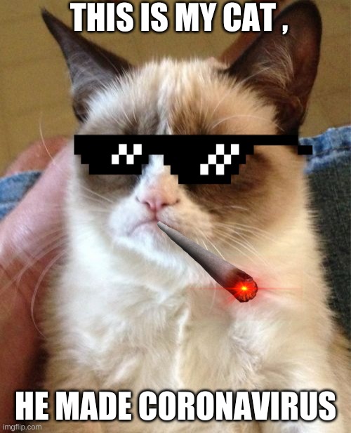 grumpy cat | THIS IS MY CAT , HE MADE CORONAVIRUS | image tagged in memes,grumpy cat | made w/ Imgflip meme maker
