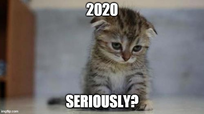 Sad kitten | 2020; SERIOUSLY? | image tagged in sad kitten | made w/ Imgflip meme maker