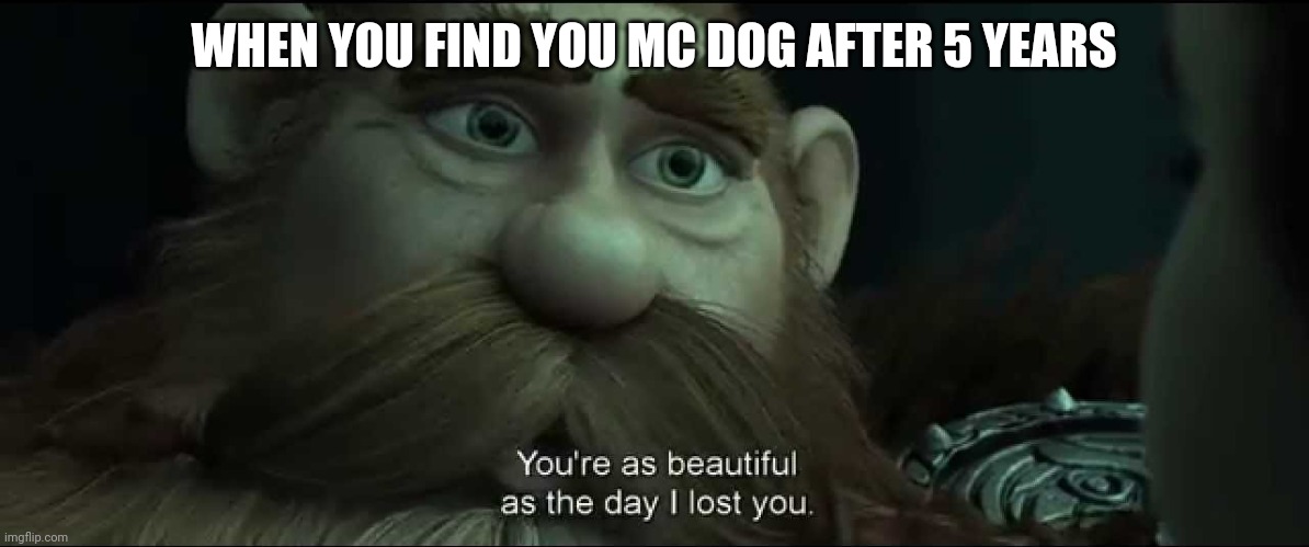 You are as beautiful as the day I lost you | WHEN YOU FIND YOU MC DOG AFTER 5 YEARS | image tagged in you are as beautiful as the day i lost you | made w/ Imgflip meme maker