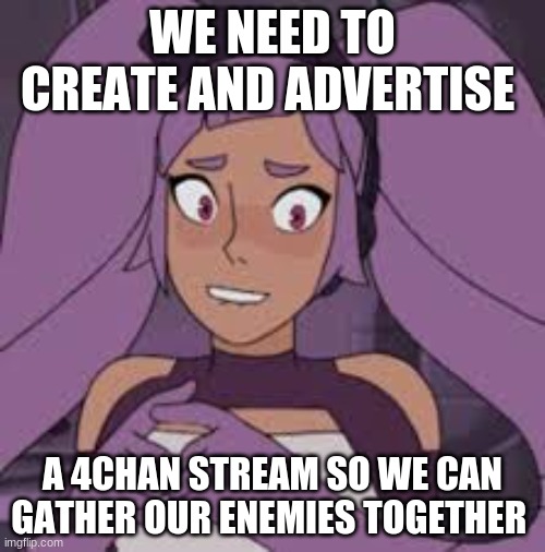 entrapta nervous | WE NEED TO CREATE AND ADVERTISE; A 4CHAN STREAM SO WE CAN GATHER OUR ENEMIES TOGETHER | image tagged in entrapta nervous | made w/ Imgflip meme maker