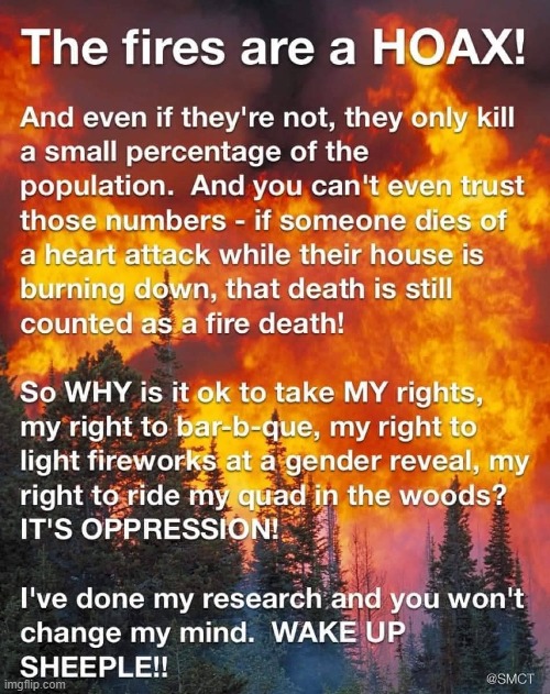 everyh word is ture maga | image tagged in the fires are a hoax,maga,hoax,wildfires,wildfire,repost | made w/ Imgflip meme maker