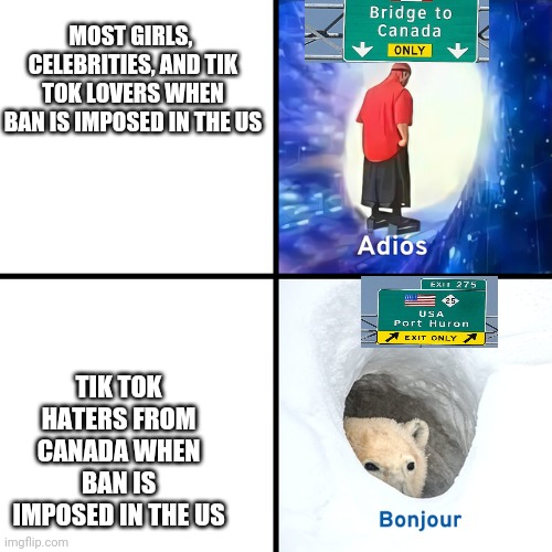 True Stuff | MOST GIRLS, 
CELEBRITIES, AND TIK TOK LOVERS WHEN BAN IS IMPOSED IN THE US; TIK TOK HATERS FROM CANADA WHEN BAN IS IMPOSED IN THE US | image tagged in adios bonjour,tik tok,memes | made w/ Imgflip meme maker