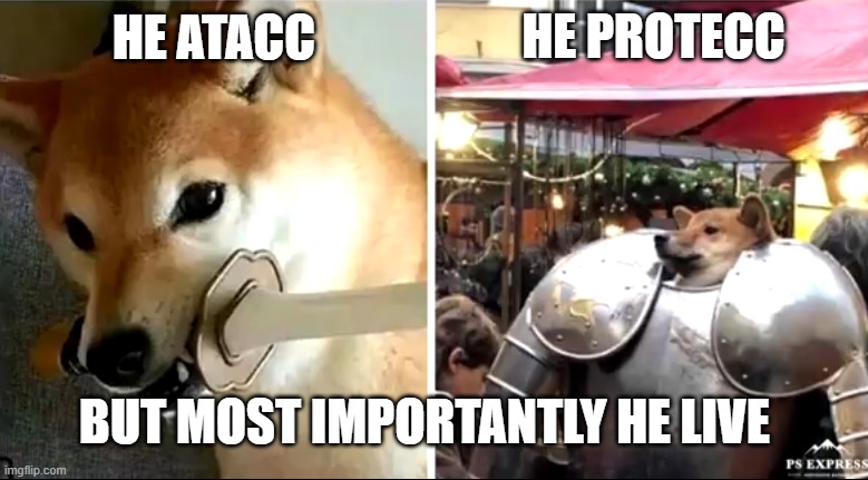 Atacc and protecc doggo | HE PROTECC HE ATACC BUT MOST IMPORTANTLY HE LIVE | image tagged in atacc and protecc doggo | made w/ Imgflip meme maker