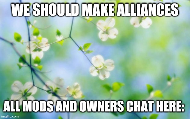 flowers | WE SHOULD MAKE ALLIANCES; ALL MODS AND OWNERS CHAT HERE: | image tagged in flowers | made w/ Imgflip meme maker