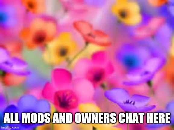 flowers | ALL MODS AND OWNERS CHAT HERE | image tagged in flowers | made w/ Imgflip meme maker