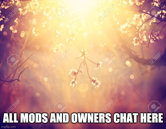 Flowers |  ALL MODS AND OWNERS CHAT HERE | image tagged in flowers | made w/ Imgflip meme maker