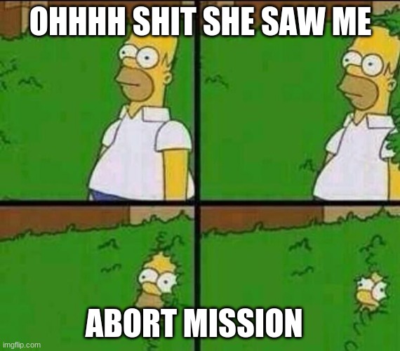Homer Simpson in Bush - Large | OHHHH SHIT SHE SAW ME; ABORT MISSION | image tagged in homer simpson in bush - large | made w/ Imgflip meme maker