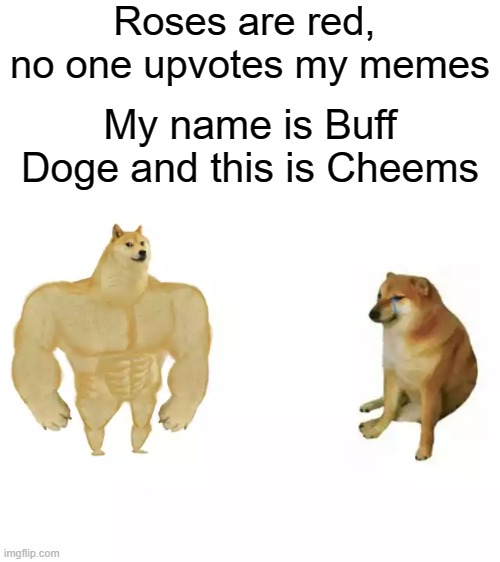 Roses are red, 
no one upvotes my memes; My name is Buff Doge and this is Cheems | image tagged in blank white template,buff doge vs cheems,roses are red | made w/ Imgflip meme maker