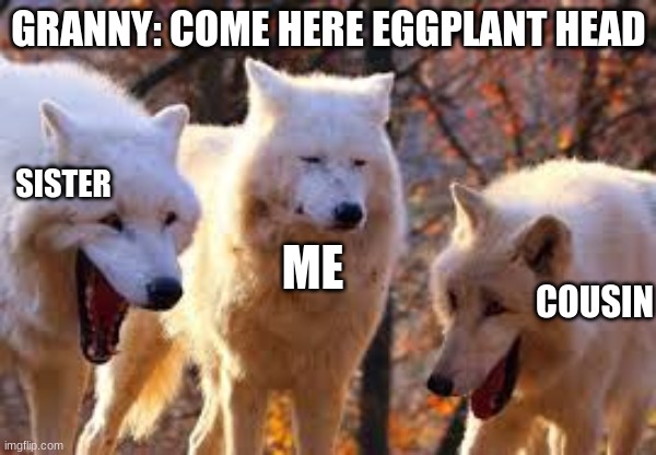 GRANNY: COME HERE EGGPLANT HEAD; SISTER; ME; COUSIN | image tagged in laughing wolf,memes | made w/ Imgflip meme maker