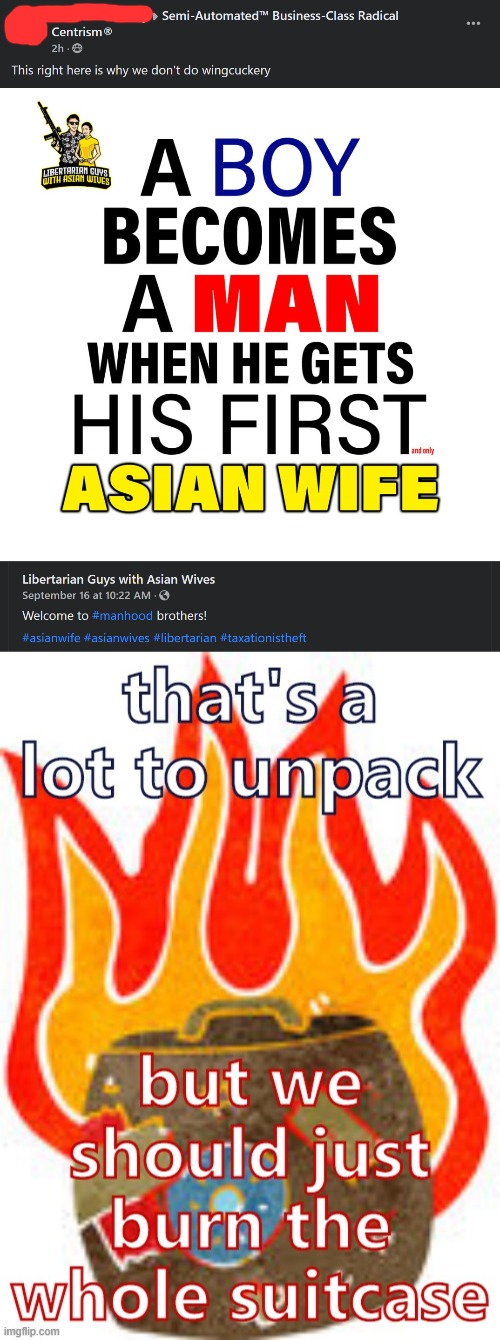 Starting with: *First* Asian wife? (amended with a teeny tiny "and only"). Nah, burn it all | image tagged in that's a lot to unpack,bruhh,incel,libertarian,cringe,cringe worthy | made w/ Imgflip meme maker