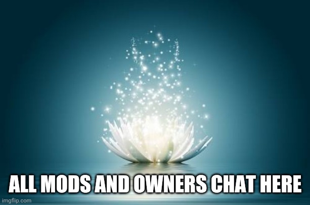 Flower of Love | ALL MODS AND OWNERS CHAT HERE | image tagged in flower of love | made w/ Imgflip meme maker