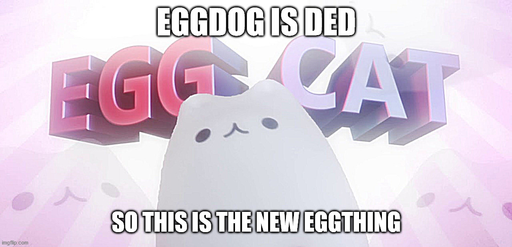 eggcat | EGGDOG IS DED; SO THIS IS THE NEW EGGTHING | image tagged in eggcat,eggdog ded,eggdog dead | made w/ Imgflip meme maker