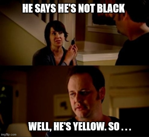 Jake from state farm | HE SAYS HE'S NOT BLACK WELL, HE'S YELLOW. SO . . . | image tagged in jake from state farm | made w/ Imgflip meme maker