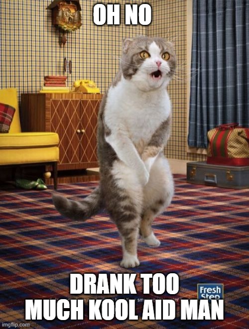 Gotta Go Cat | OH NO; DRANK TOO MUCH KOOL AID MAN | image tagged in memes,gotta go cat | made w/ Imgflip meme maker