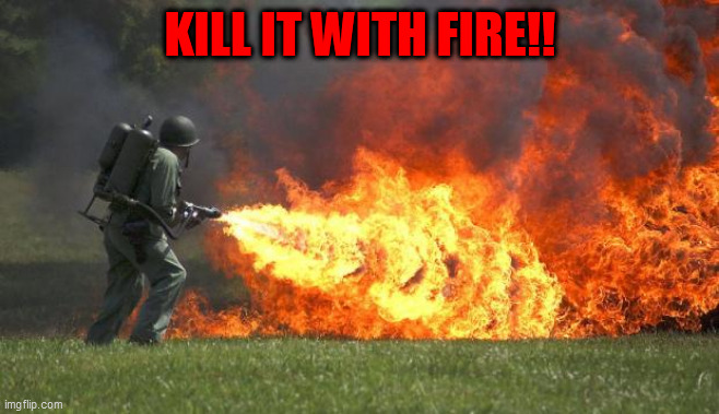flamethrower | KILL IT WITH FIRE!! | image tagged in flamethrower | made w/ Imgflip meme maker