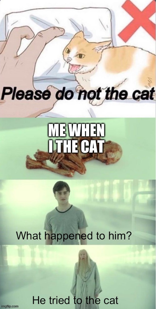 do not the cat | ME WHEN I THE CAT | image tagged in please do not the cat | made w/ Imgflip meme maker